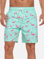 Men's Flamingo Print Swim Trunks ElevenOasis