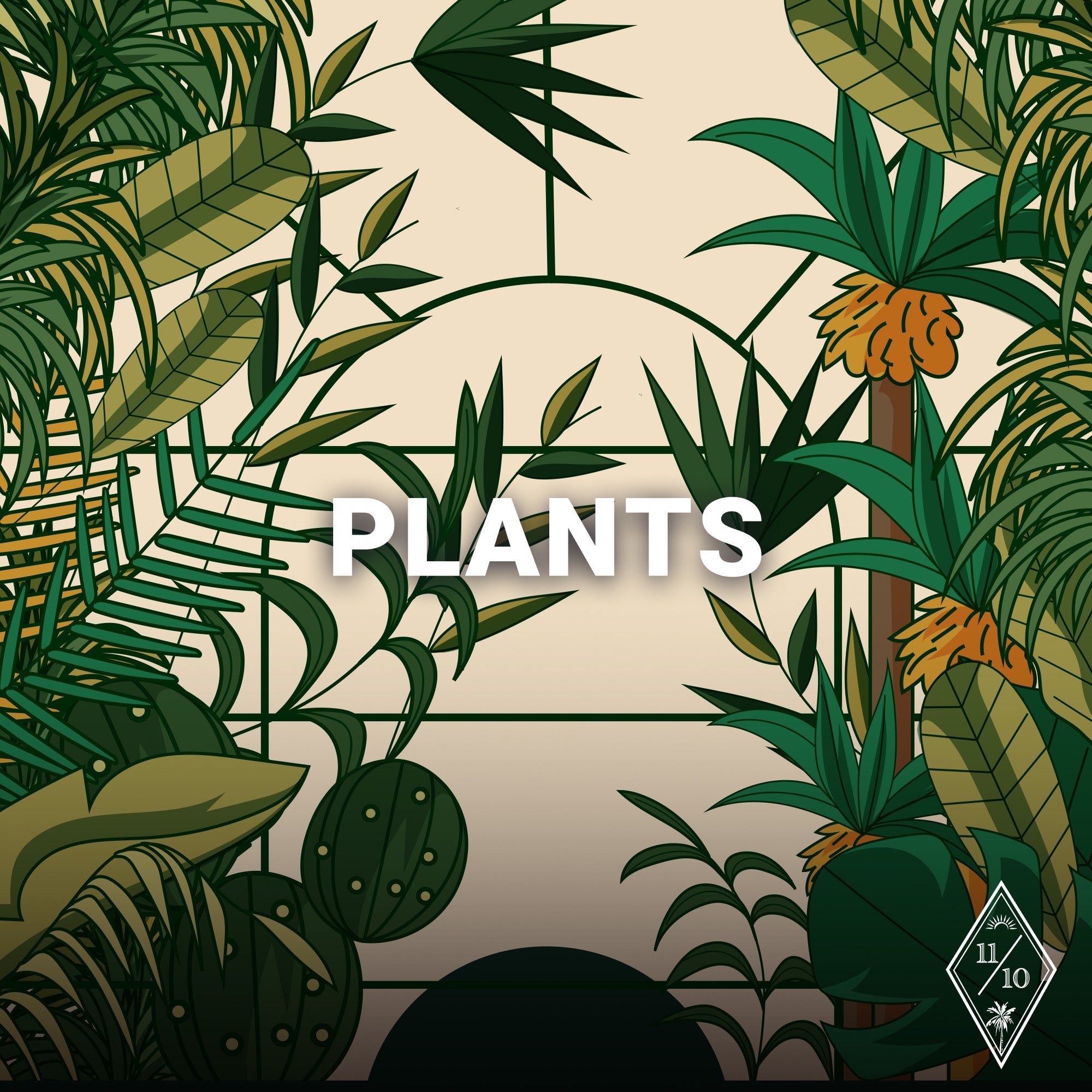 Plants Eleven Oasis