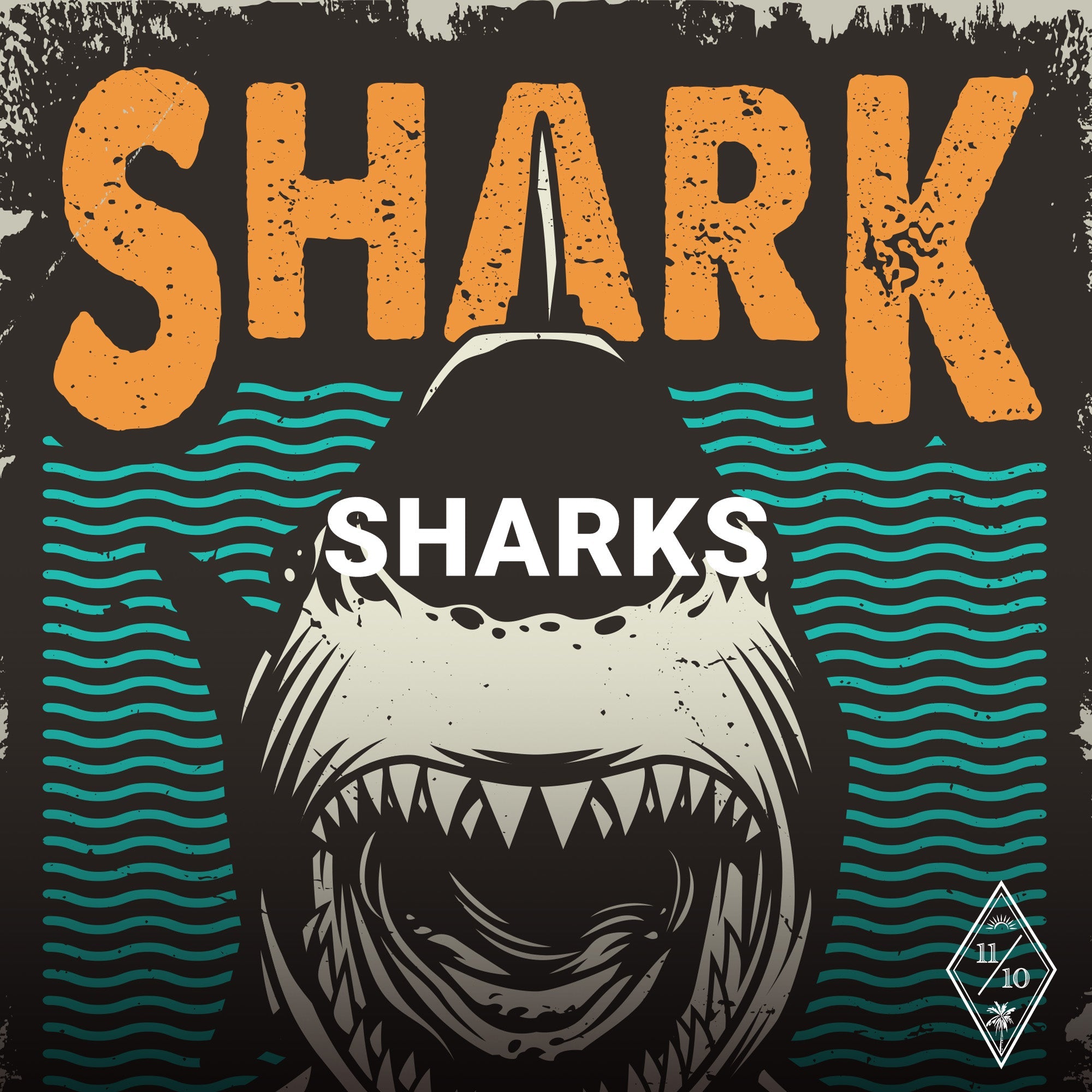 Sharks Eleven Oasis