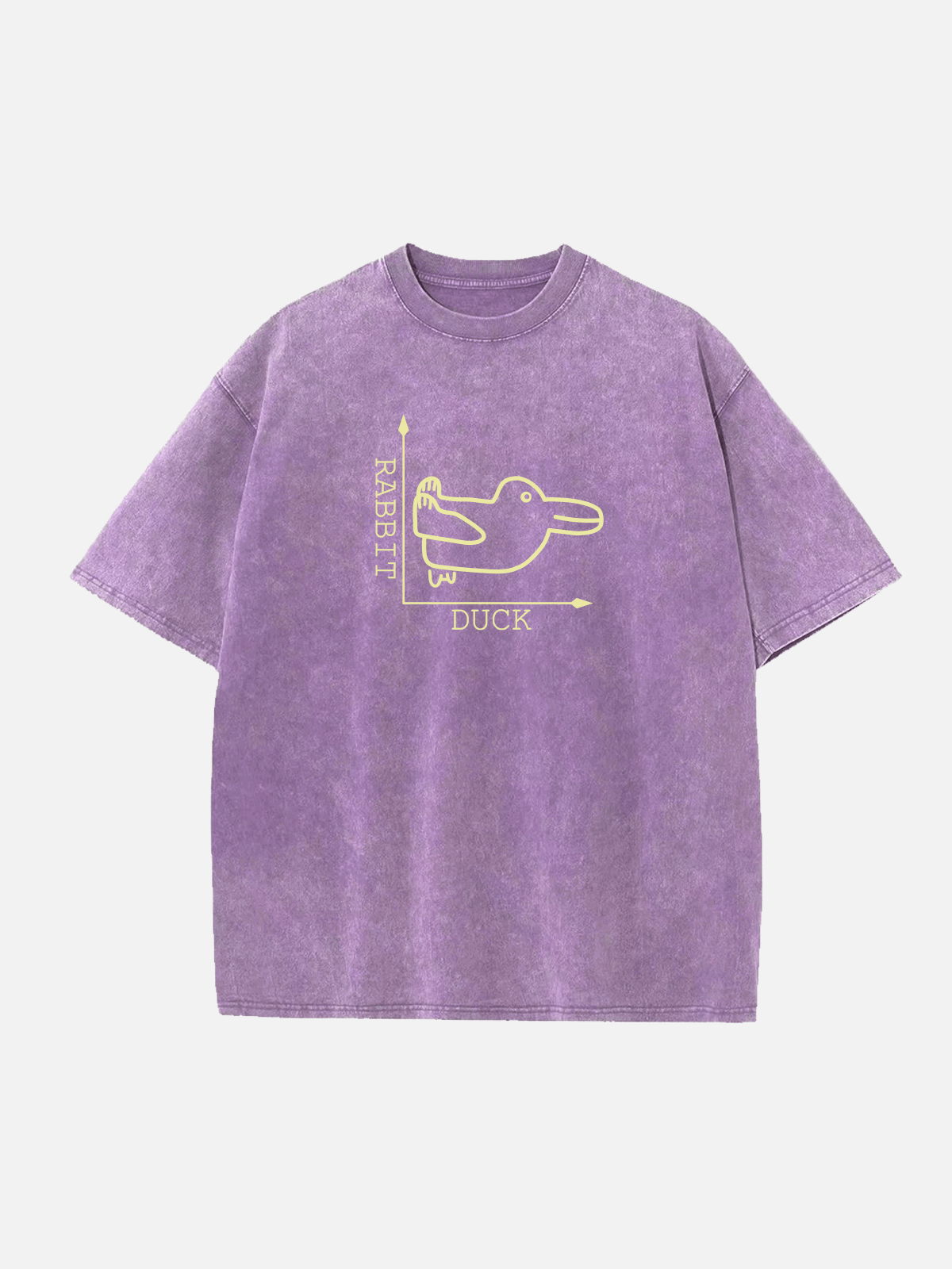 Men's Easter Cotton Round Neck Short Sleeve T-Shirt Duck vs Rabbit Math Coordinates Eleven Oasis