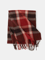 Ultra Soft Plaid Winter Scarf Eleven Oasis