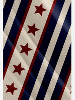 Men's American Pride Stars and Stripes Short Sleeve Shirt Eleven Oasis