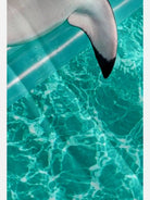 Men's Cool Shark Pool Party Short Sleeve Shirt Eleven Oasis