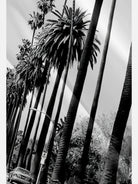 Men's California Boulevard Palm Short Sleeve Shirt ElevenOasis