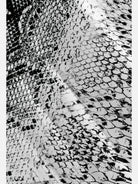 Men's Python Skin Short Sleeve Shirt ElevenOasis